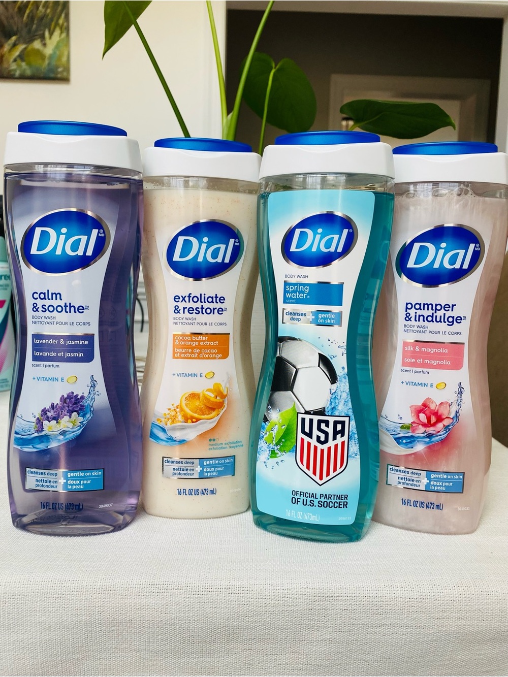 Dial body wash (4)